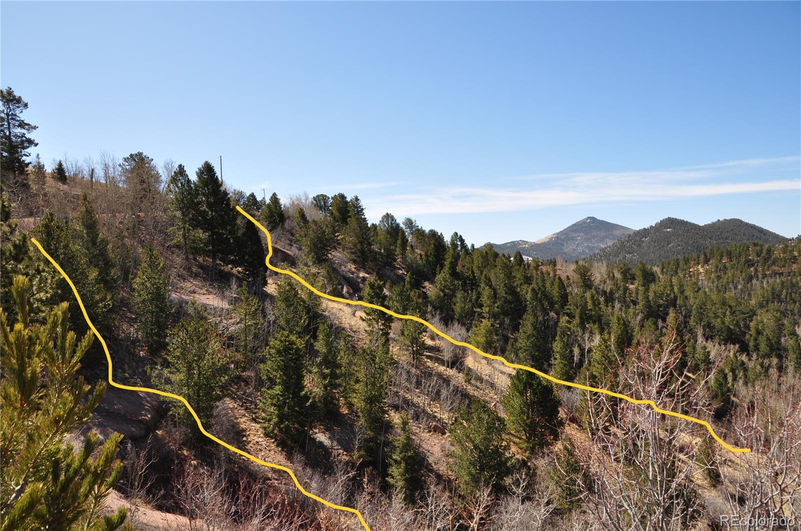 67 Ajax Court Florissant CO 80816