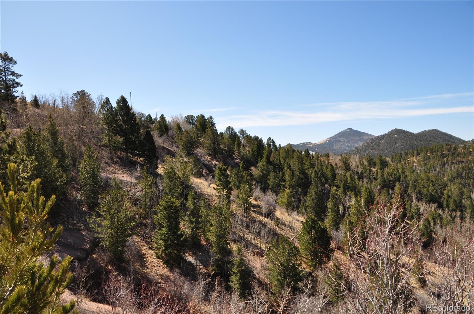 67 Ajax Court Florissant CO 80816