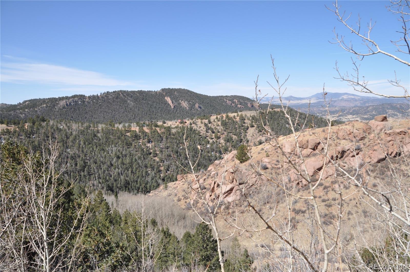 67 Ajax Court Florissant CO 80816