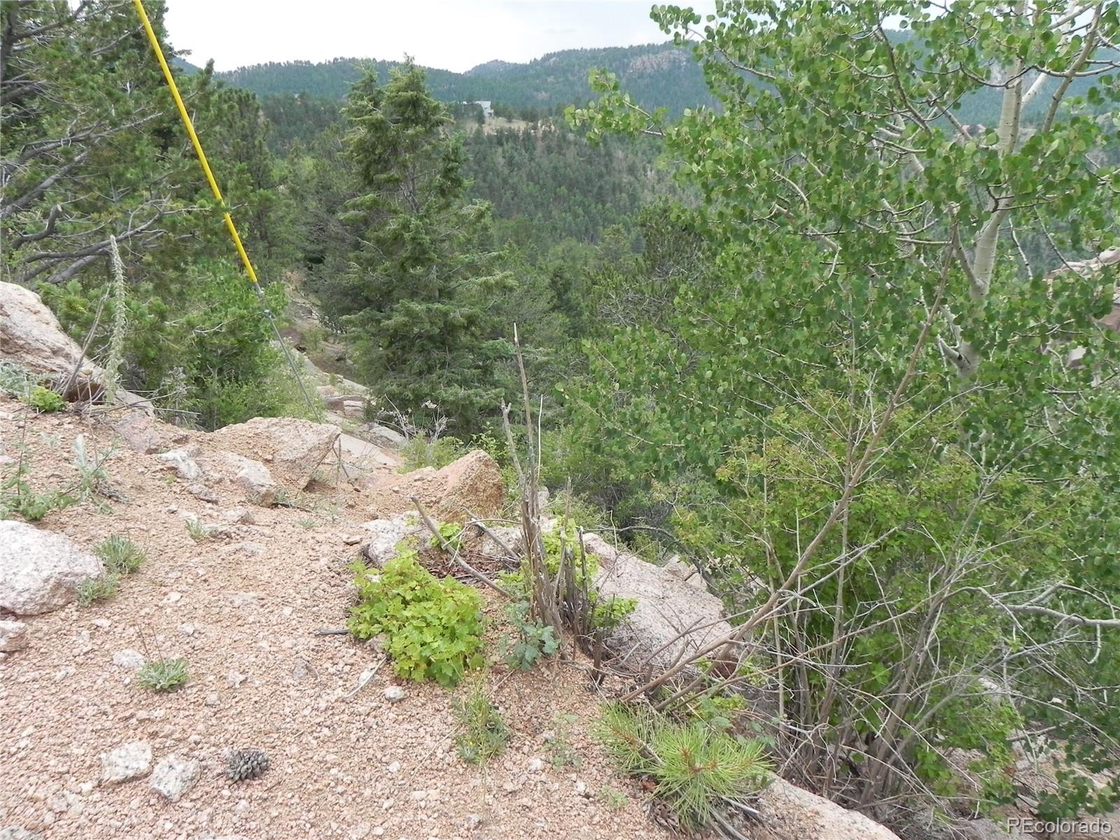 67 Ajax Court Florissant CO 80816