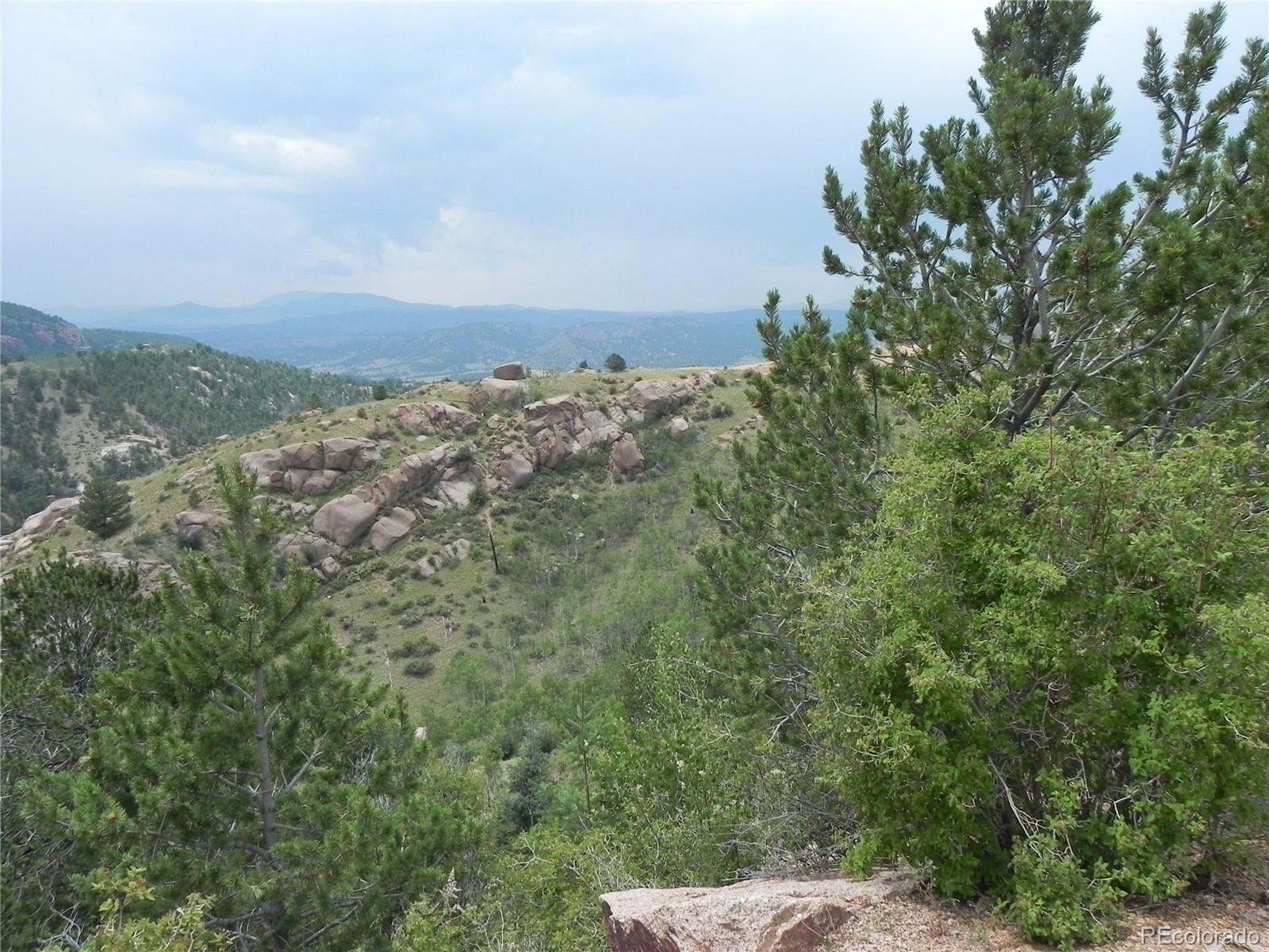 67 Ajax Court Florissant CO 80816