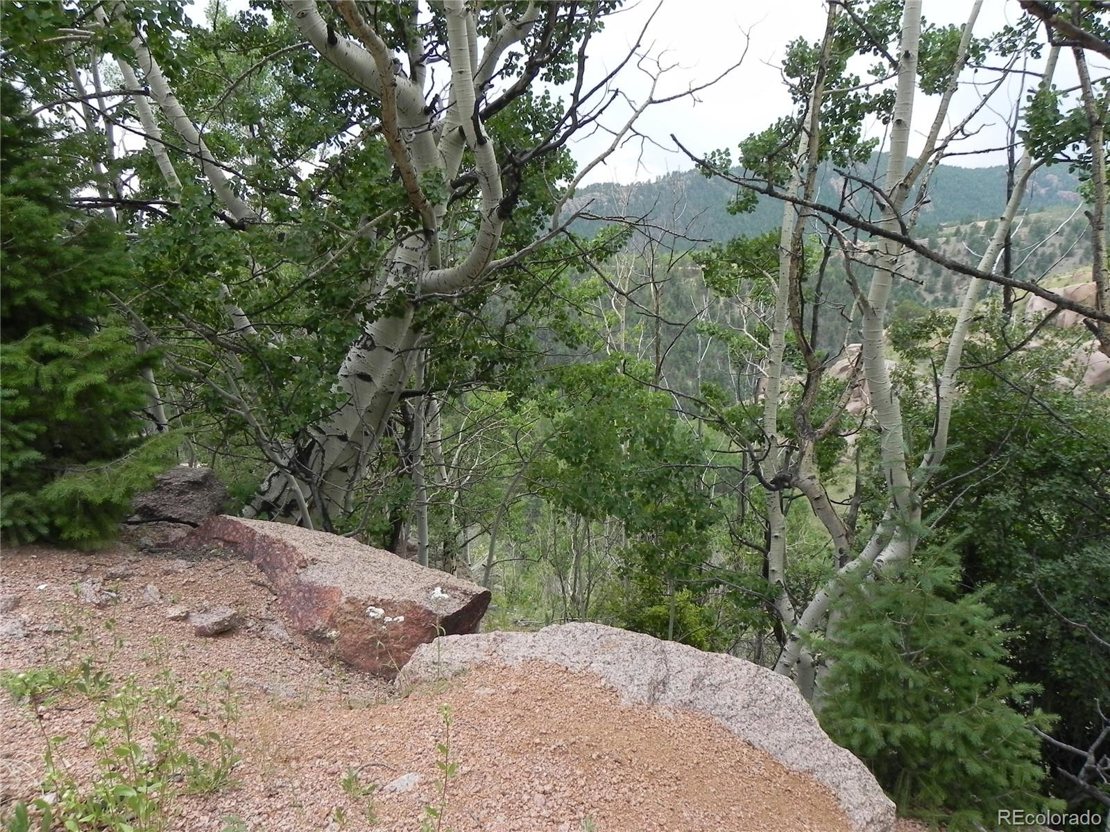 67 Ajax Court Florissant CO 80816
