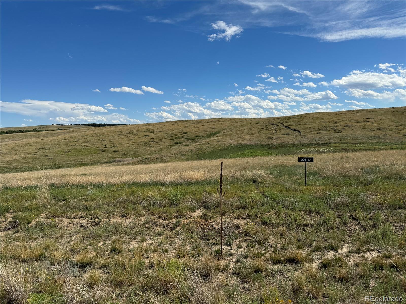 0 Lot 17 Happiness Trail Kiowa CO 80117