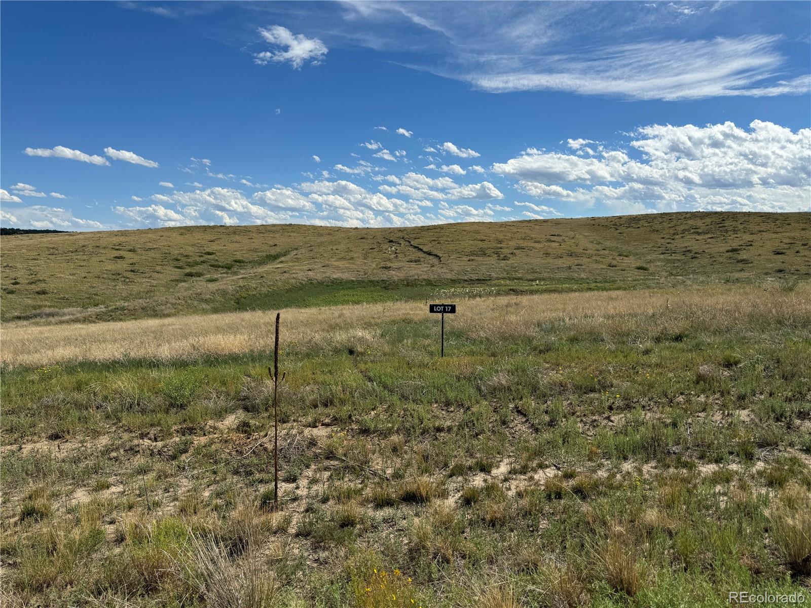 0 Lot 17 Happiness Trail Kiowa CO 80117
