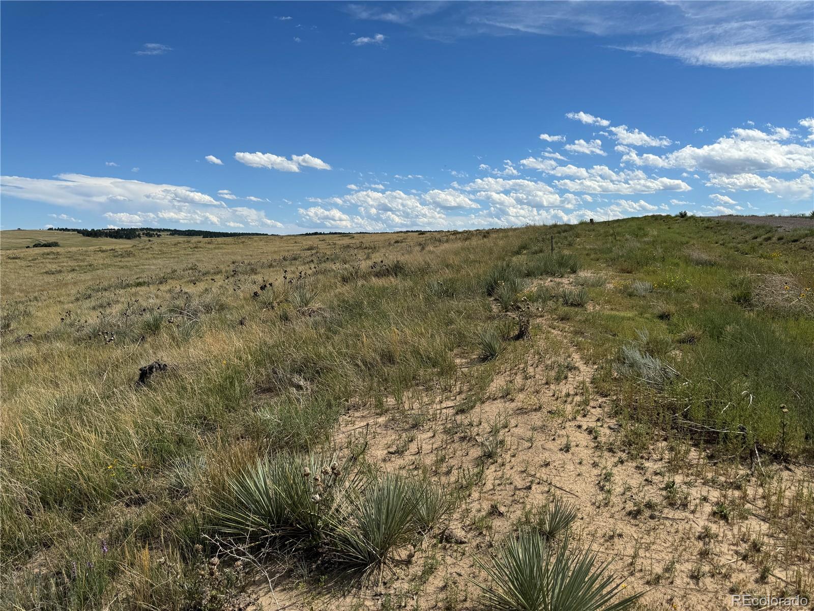 0 Lot 17 Happiness Trail Kiowa CO 80117