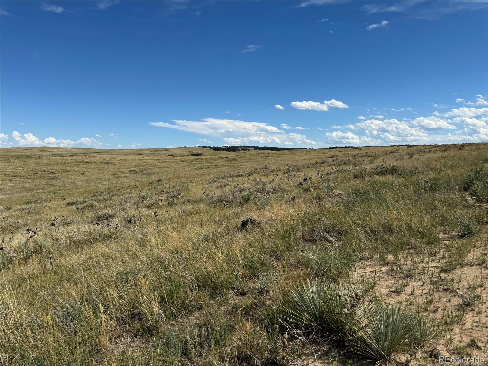 0 Lot 17 Happiness Trail Kiowa CO 80117