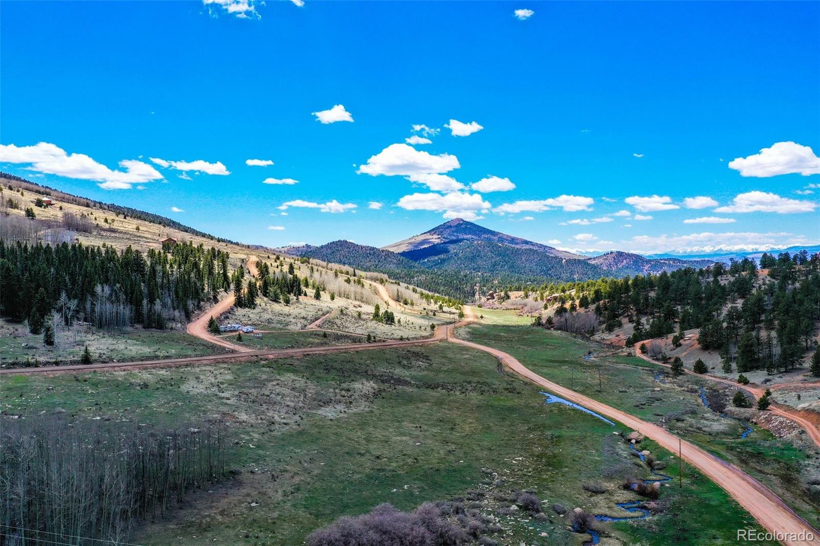 1319 Anges Drive Cripple Creek CO 80813