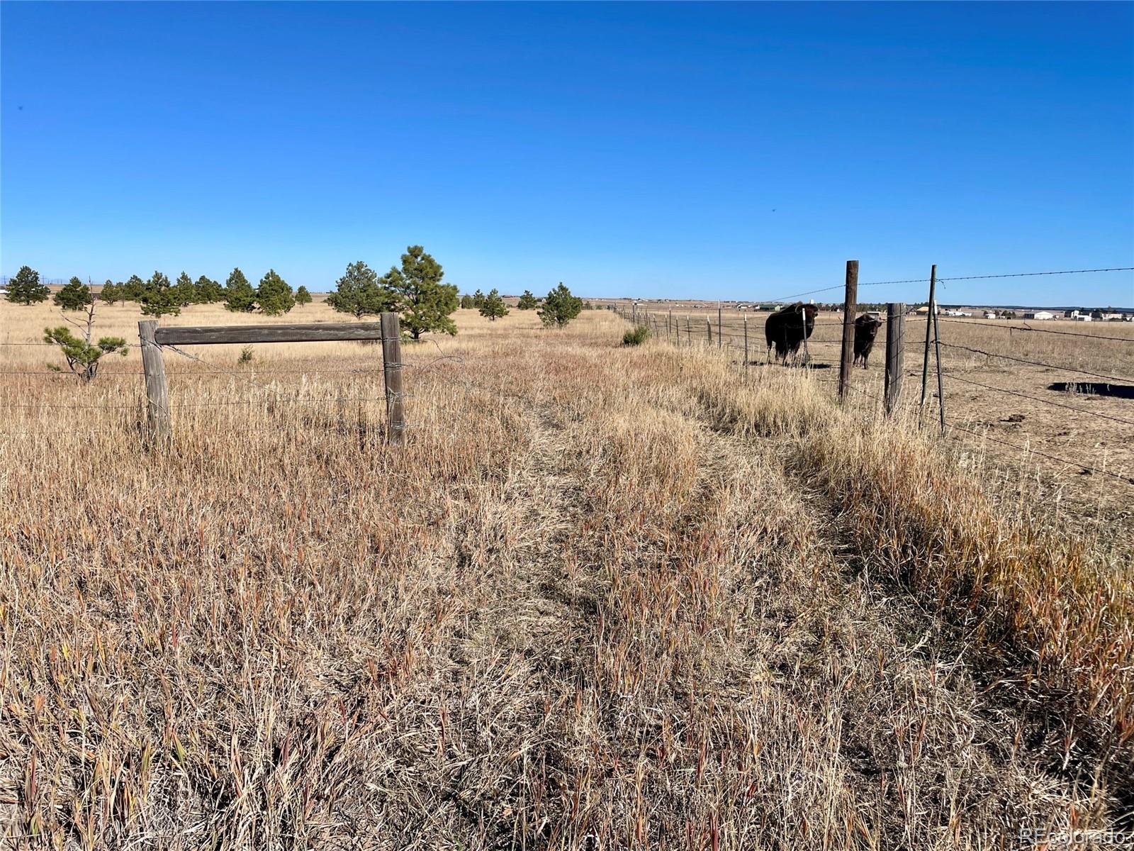 Parcel A County Road 98 Elbert CO 80106