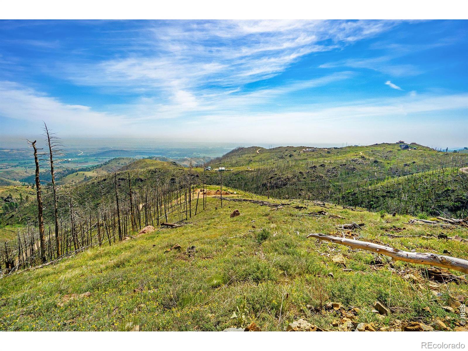 1600 Whale Rock Road Bellvue CO 80512
