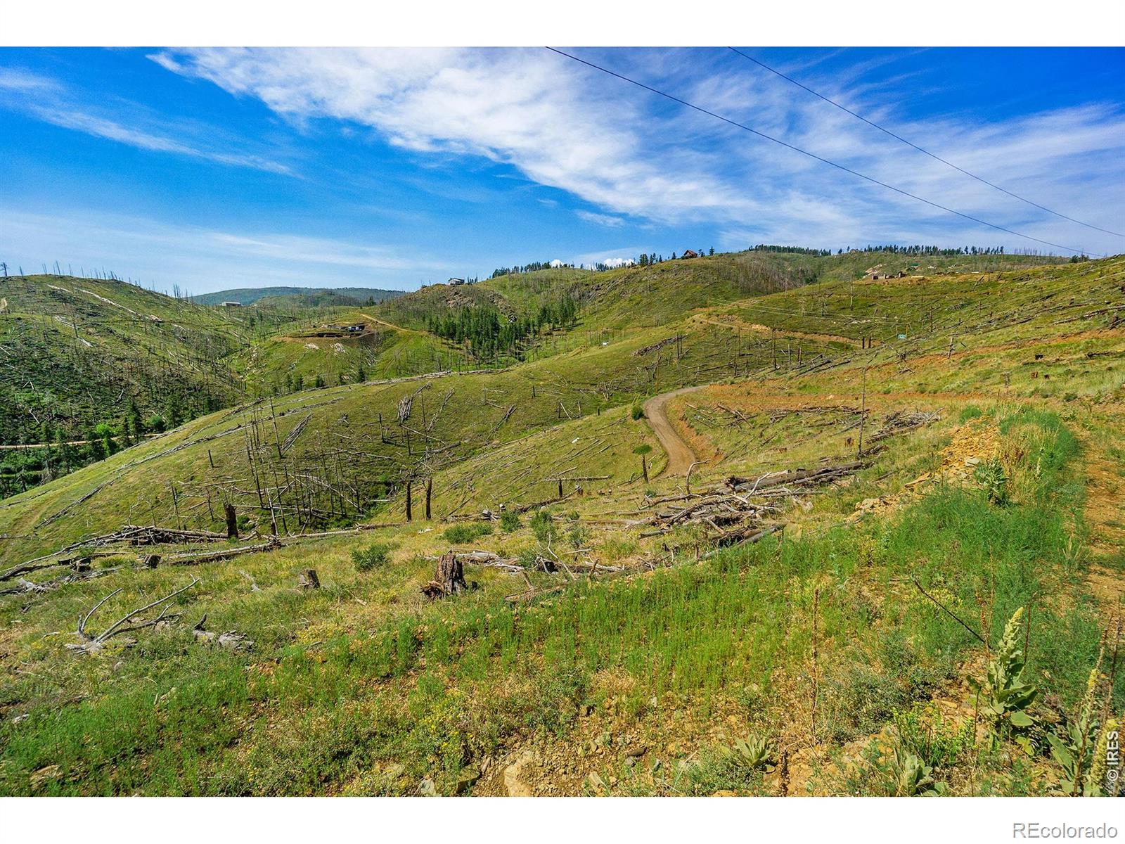1600 Whale Rock Road Bellvue CO 80512