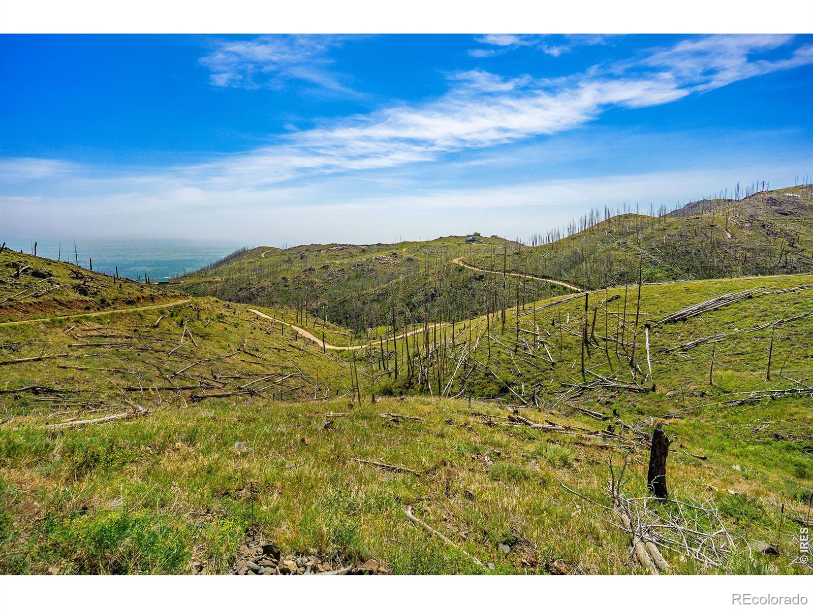 1600 Whale Rock Road Bellvue CO 80512