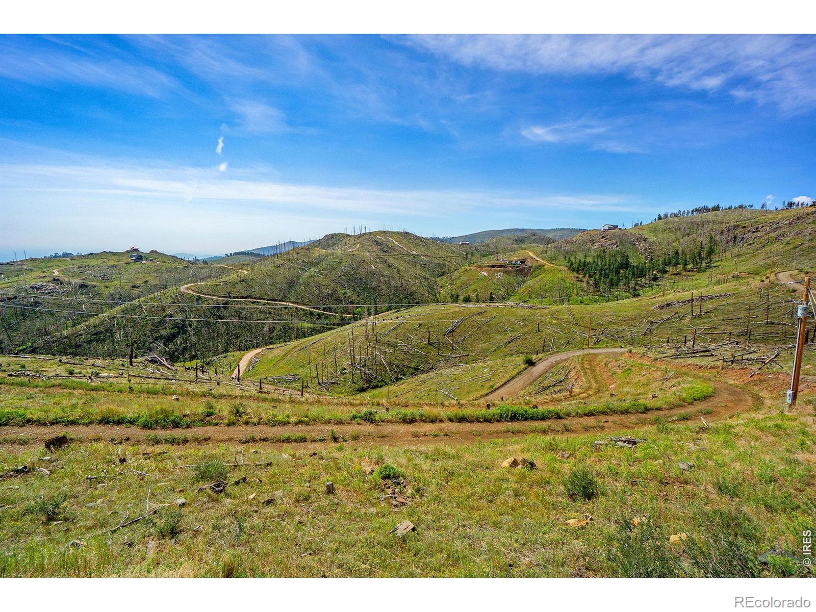 1600 Whale Rock Road Bellvue CO 80512