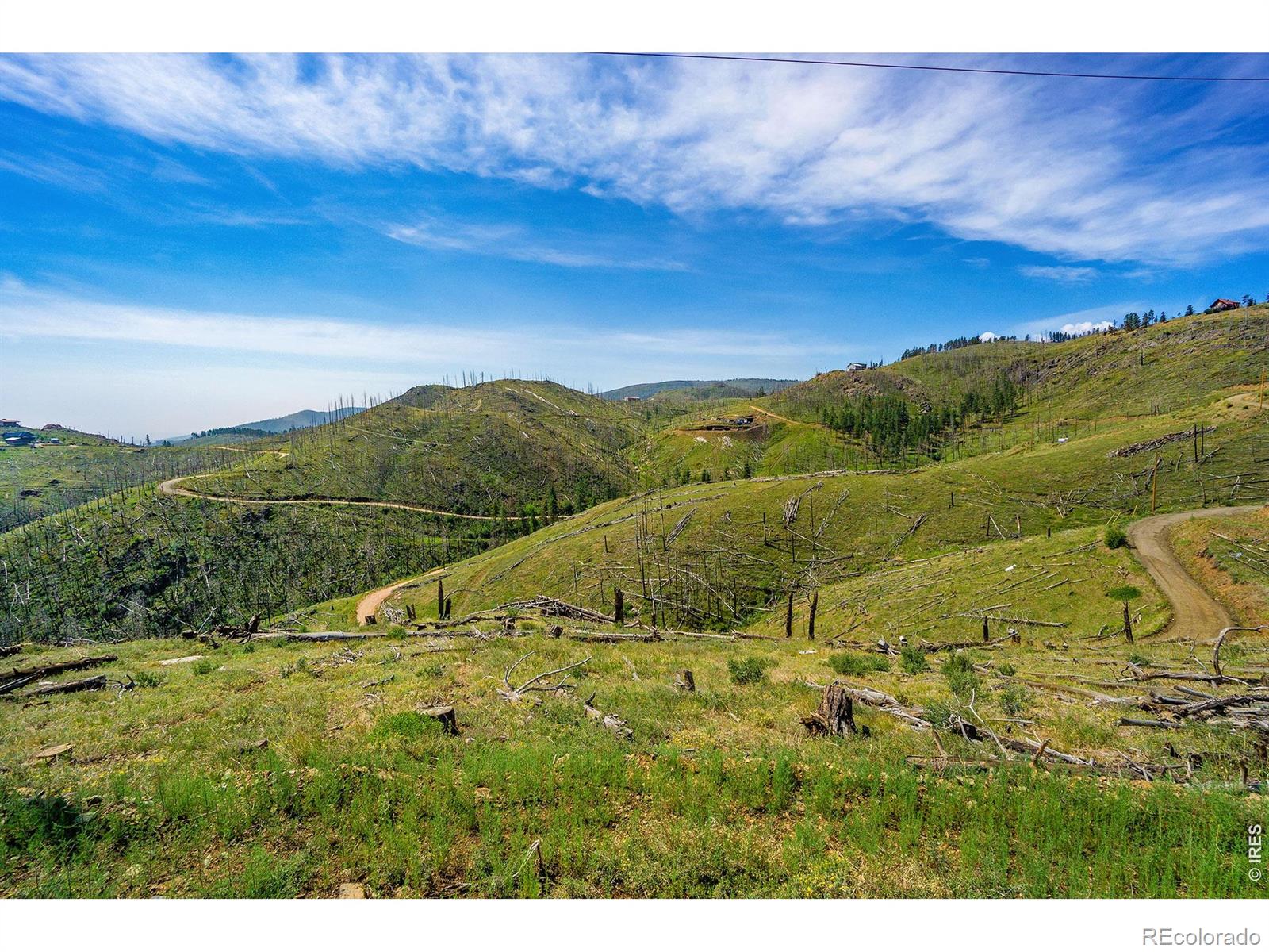 1600 Whale Rock Road Bellvue CO 80512