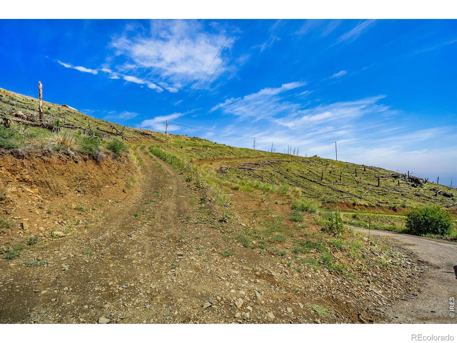 1600 Whale Rock Road Bellvue CO 80512