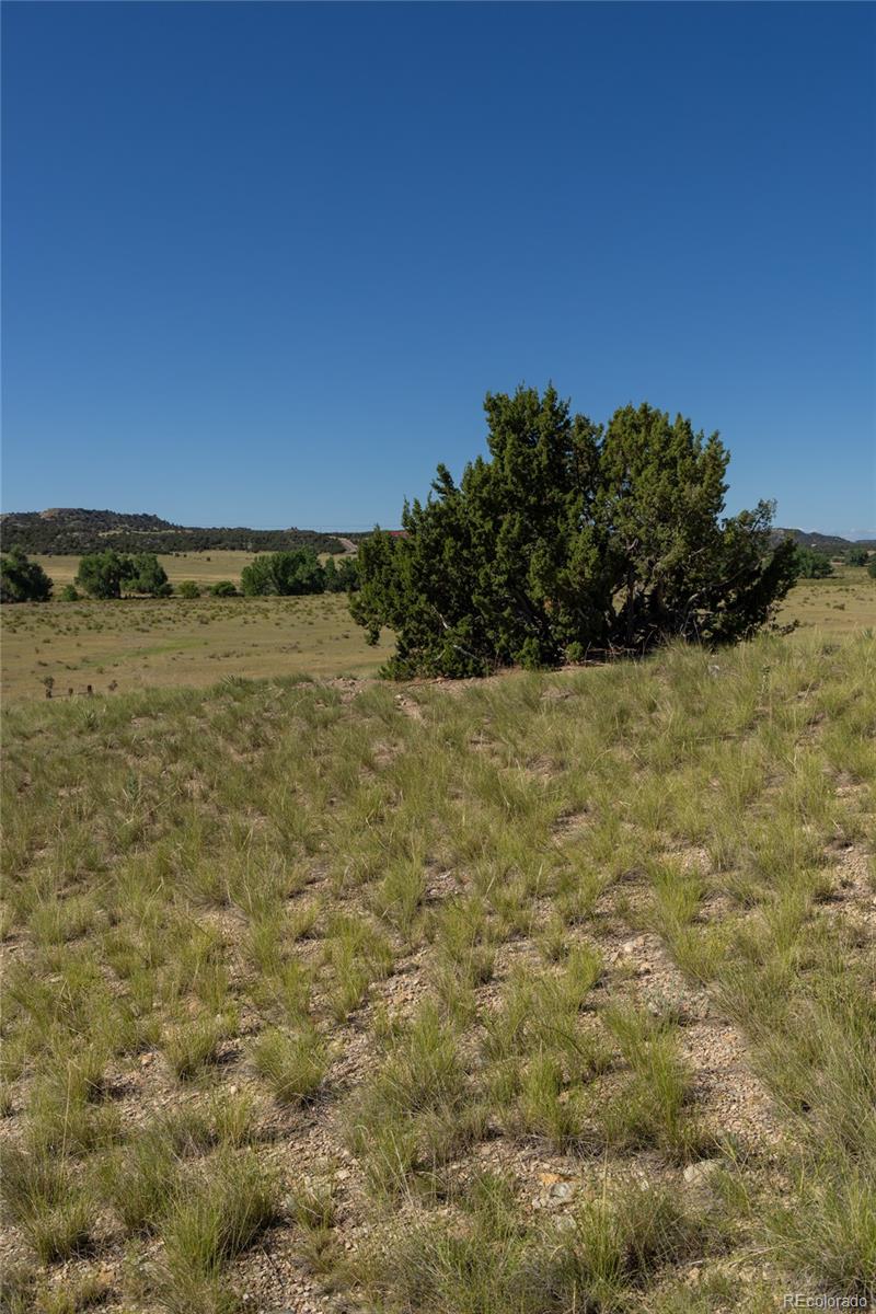 Par 10 Greenhorn Creek Drive Pueblo CO 81004