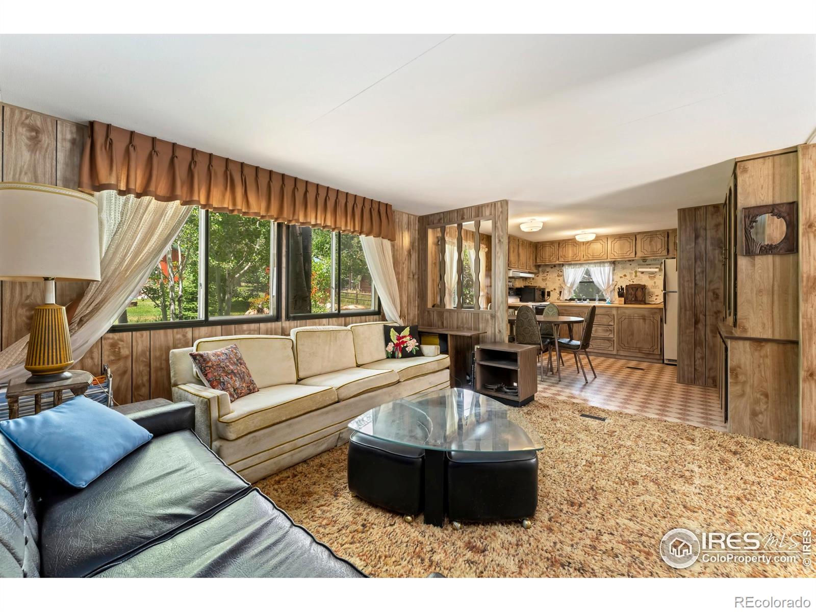 277 Riverside Drive Bellvue CO 80512