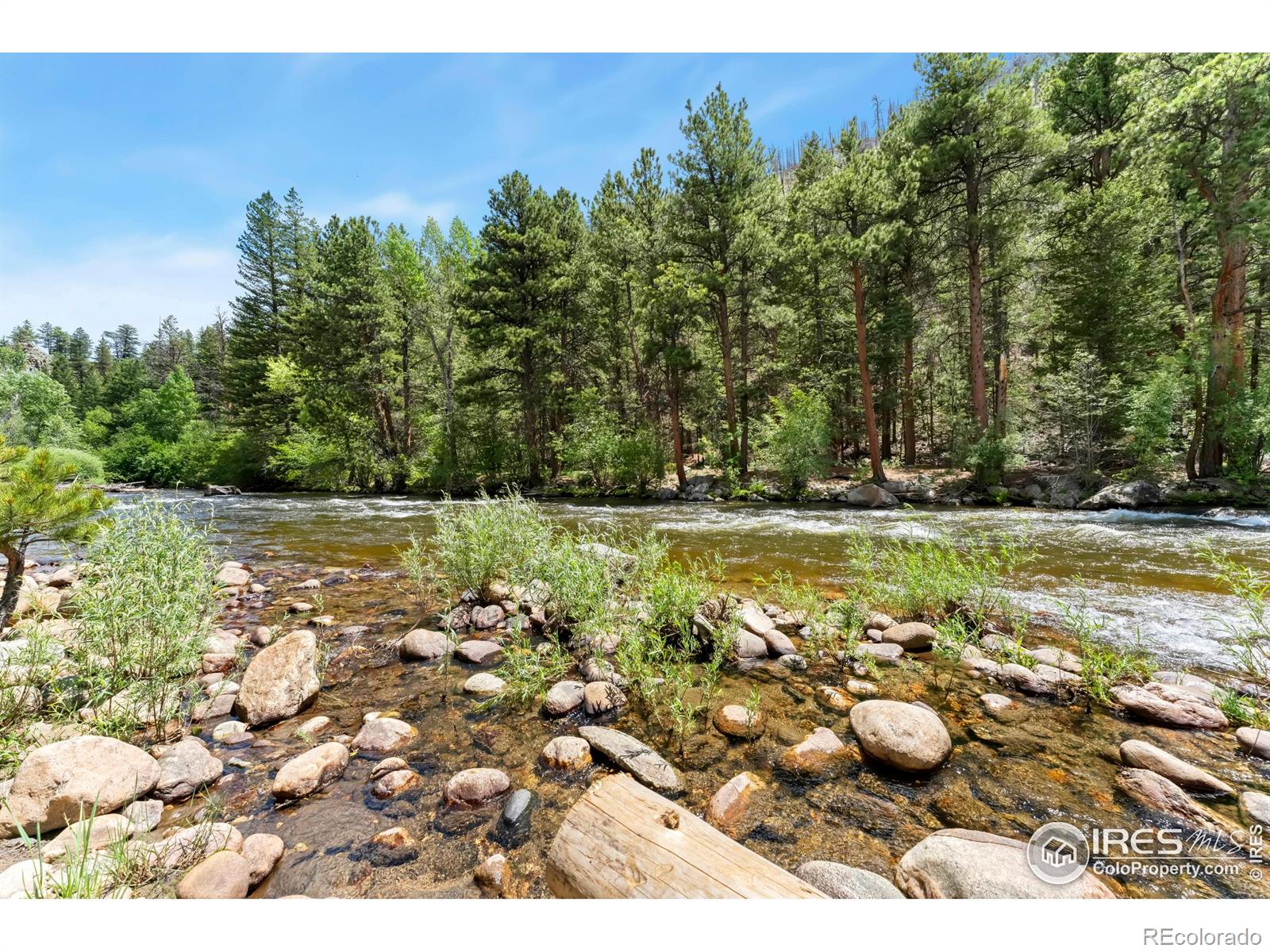 277 Riverside Drive Bellvue CO 80512