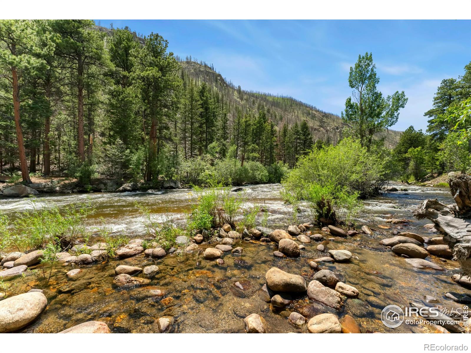 277 Riverside Drive Bellvue CO 80512