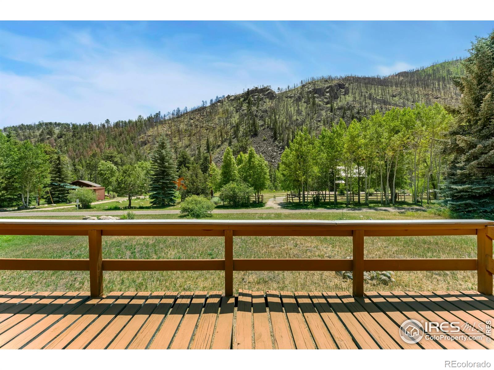 277 Riverside Drive Bellvue CO 80512