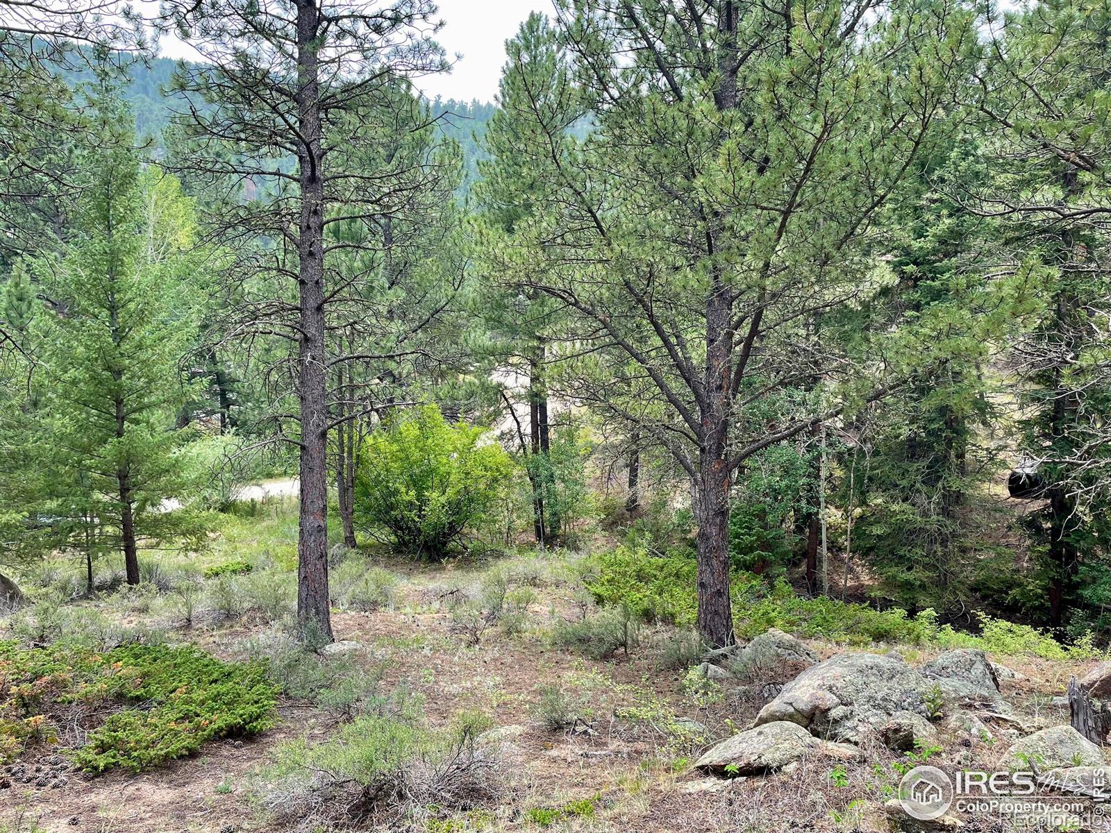 0 Hemlock Drive Lyons CO 80540