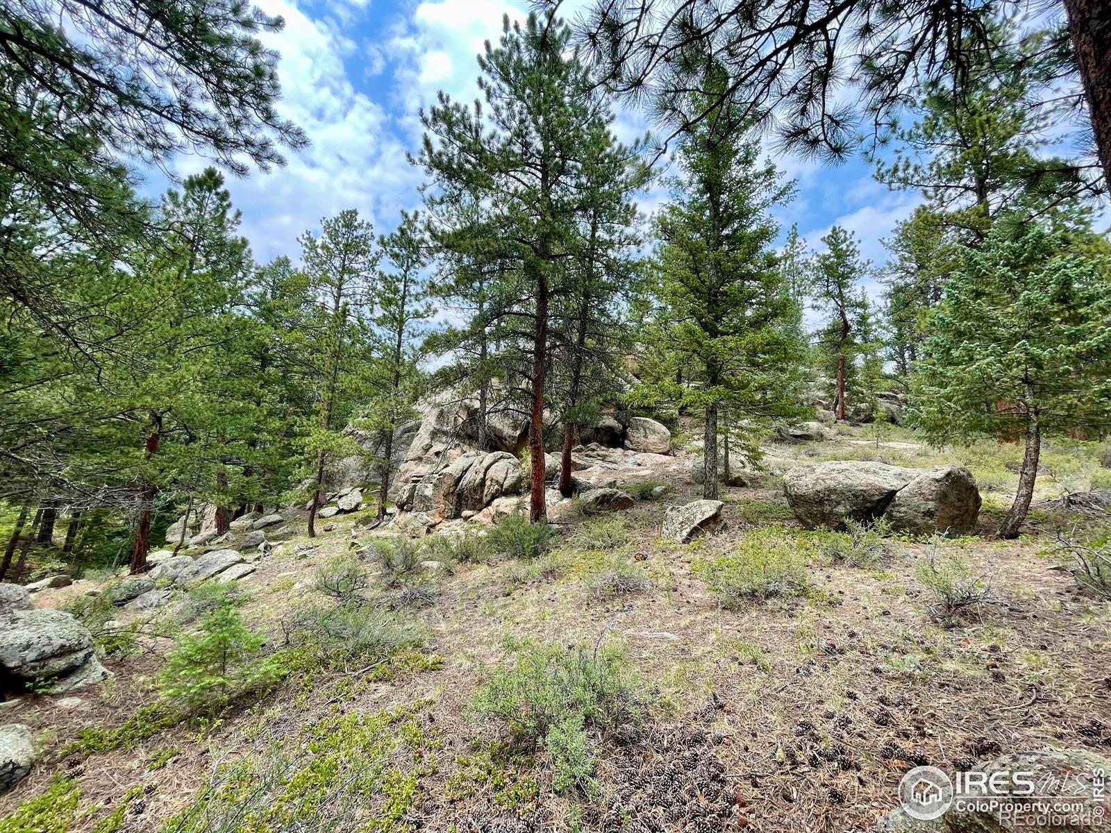 0 Hemlock Drive Lyons CO 80540