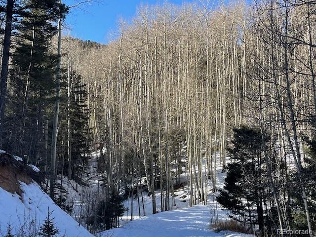 Lot 5252 Scott Road Fort Garland CO 81133