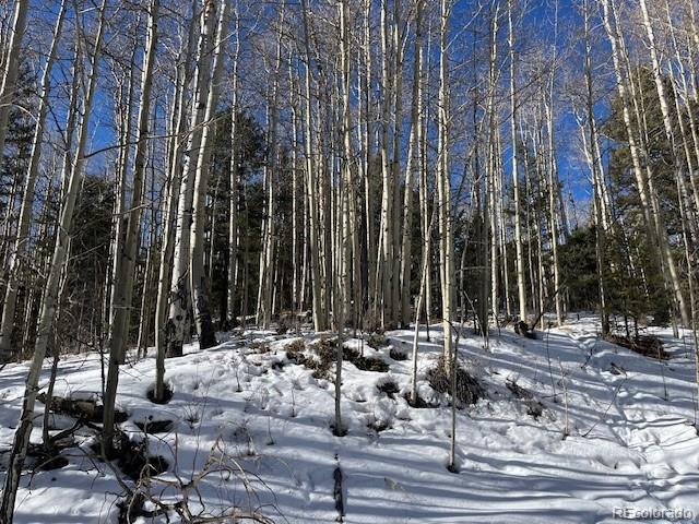 Lot 5252 Scott Road Fort Garland CO 81133