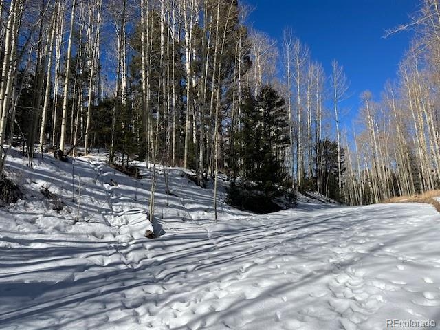 Lot 5252 Scott Road Fort Garland CO 81133
