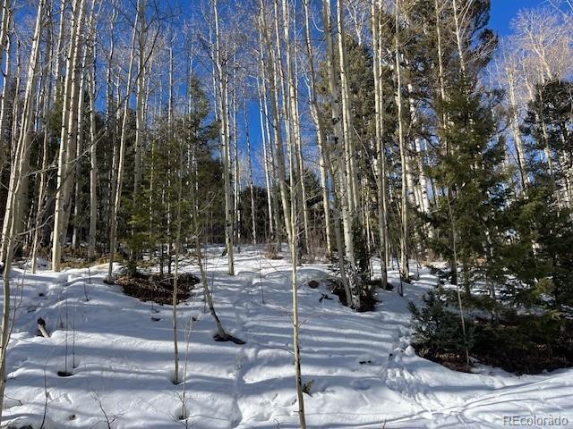 Lot 5252 Scott Road Fort Garland CO 81133