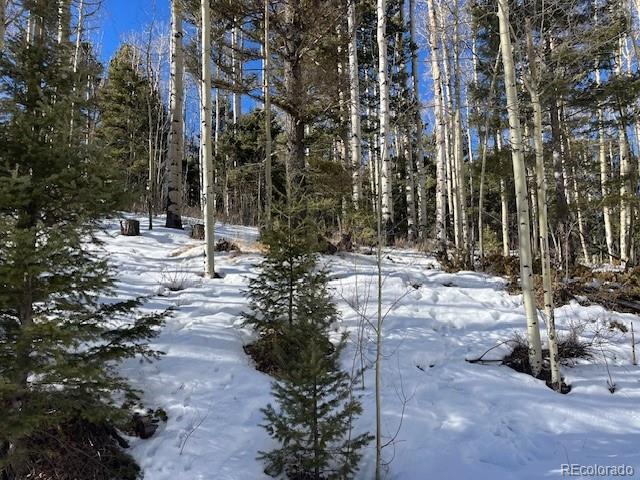 Lot 5252 Scott Road Fort Garland CO 81133