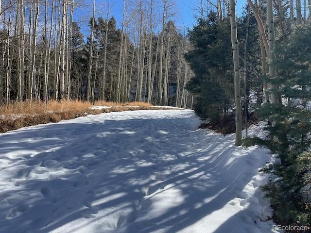 Lot 5252 Scott Road Fort Garland CO 81133