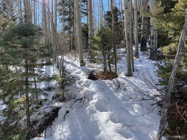 Lot 5252 Scott Road Fort Garland CO 81133