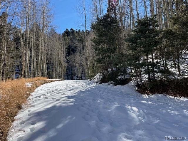 Lot 5252 Scott Road Fort Garland CO 81133
