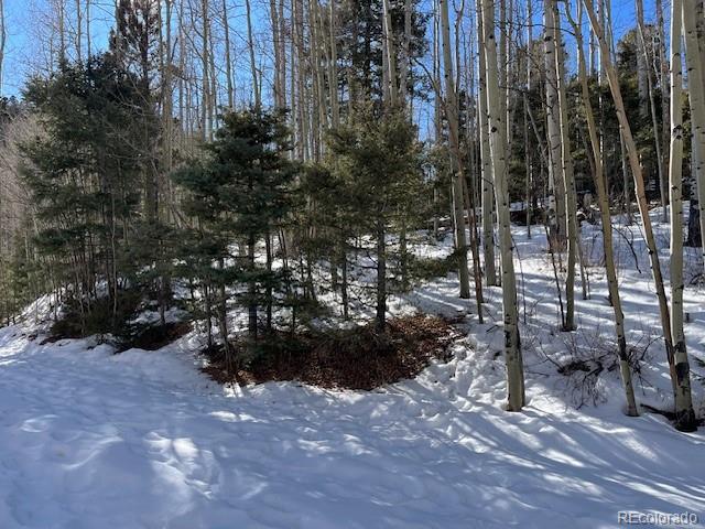 Lot 5252 Scott Road Fort Garland CO 81133