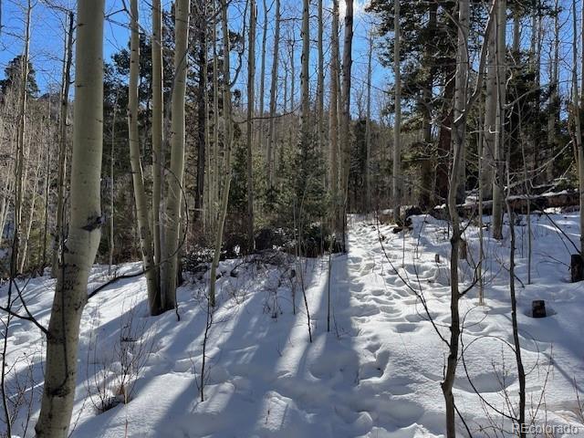 Lot 5252 Scott Road Fort Garland CO 81133