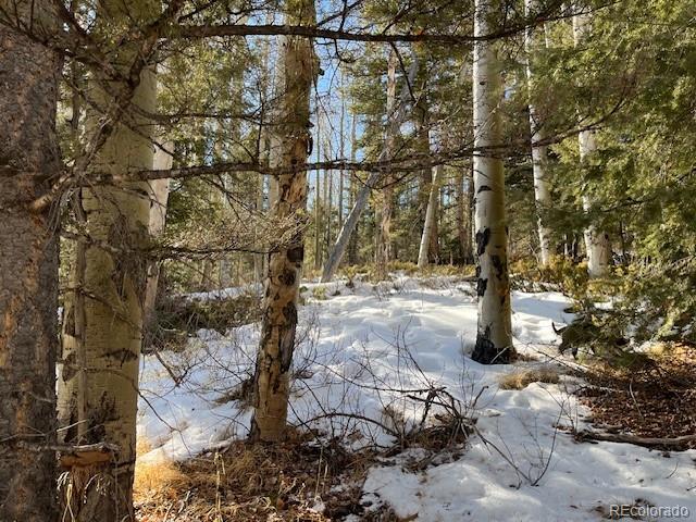 Lot 5252 Scott Road Fort Garland CO 81133