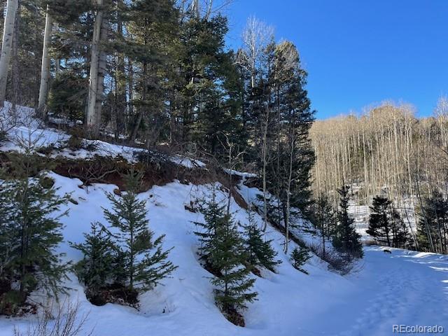 Lot 5252 Scott Road Fort Garland CO 81133