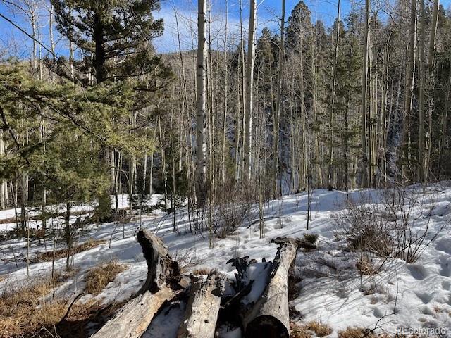Lot 5252 Scott Road Fort Garland CO 81133
