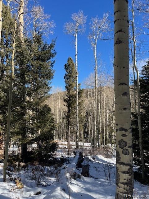 Lot 5252 Scott Road Fort Garland CO 81133
