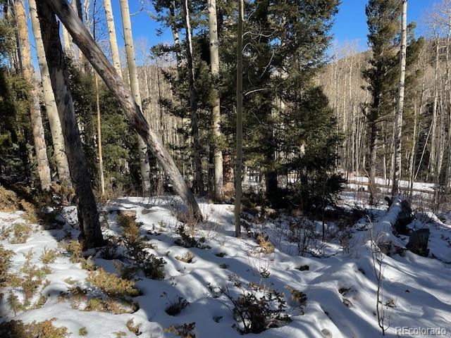 Lot 5252 Scott Road Fort Garland CO 81133