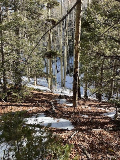 Lot 5252 Scott Road Fort Garland CO 81133