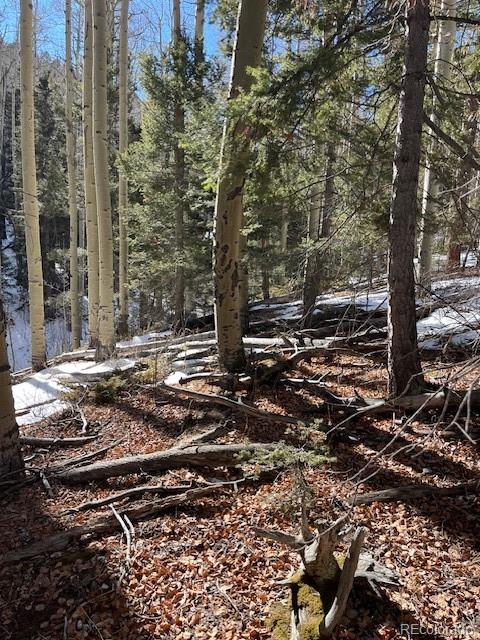 Lot 5252 Scott Road Fort Garland CO 81133