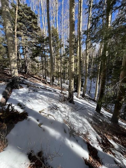 Lot 5252 Scott Road Fort Garland CO 81133