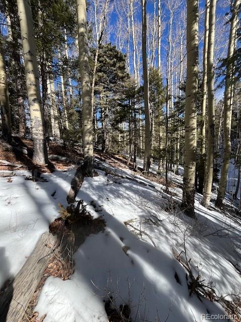 Lot 5252 Scott Road Fort Garland CO 81133