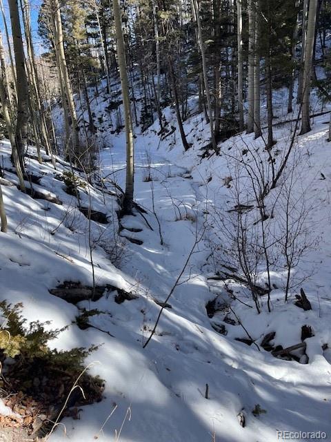 Lot 5252 Scott Road Fort Garland CO 81133