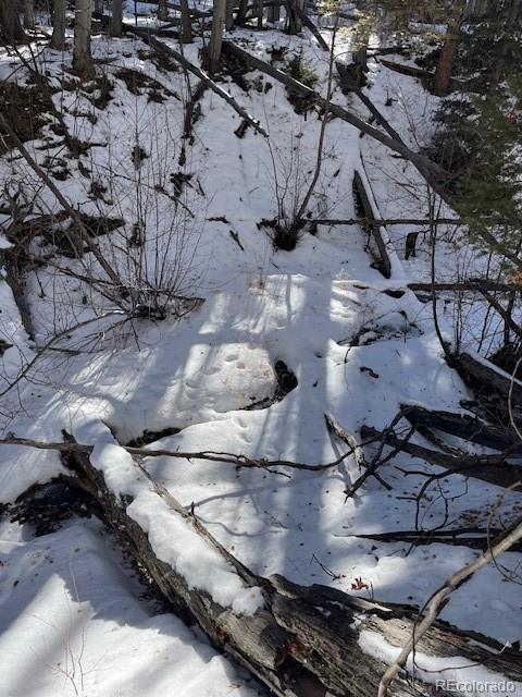 Lot 5252 Scott Road Fort Garland CO 81133