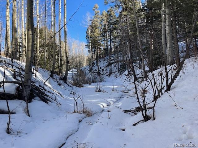 Lot 5252 Scott Road Fort Garland CO 81133