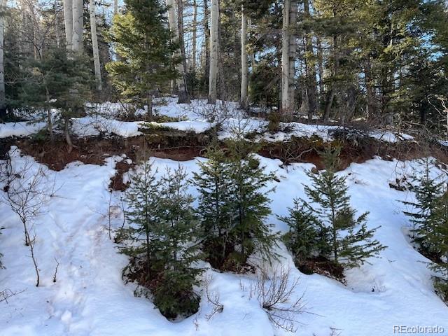 Lot 5252 Scott Road Fort Garland CO 81133