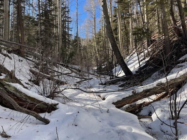 Lot 5252 Scott Road Fort Garland CO 81133