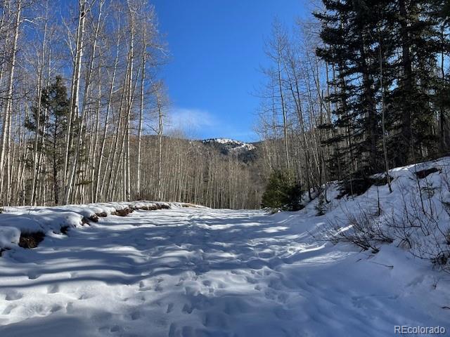 Lot 5252 Scott Road Fort Garland CO 81133